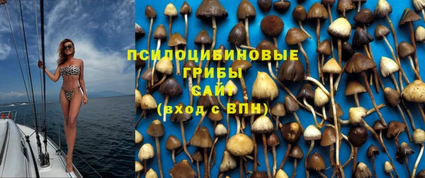 а пвп мука Алексеевка