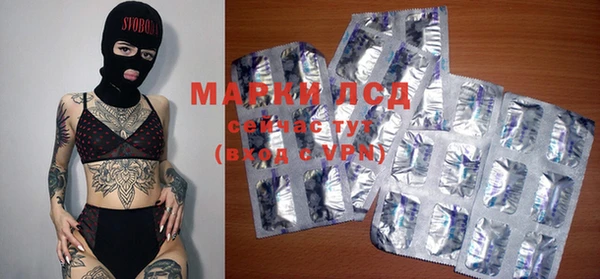 прущие грибы Алексин