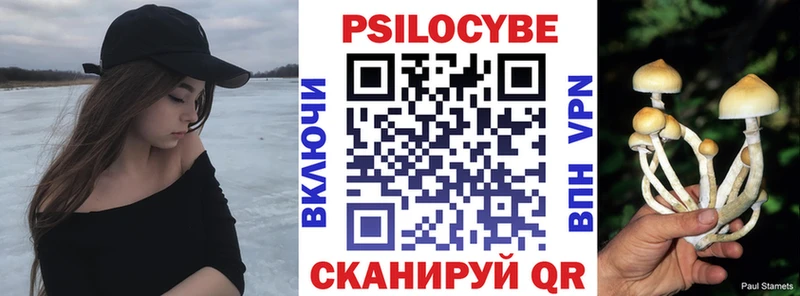Псилоцибиновые грибы Cubensis  Суджа 
